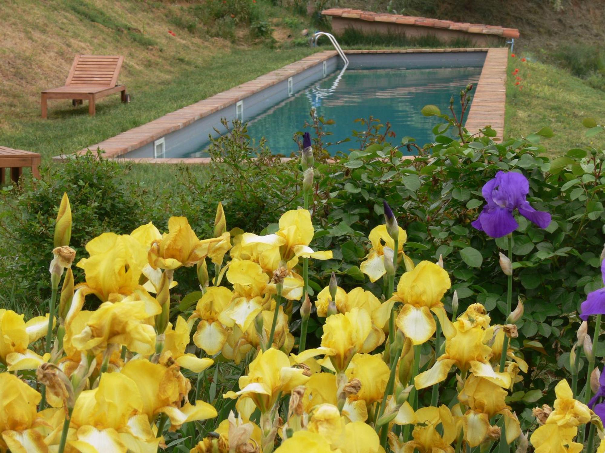 Casa Isabella Guest House Vaglio Serra ภายนอก รูปภาพ