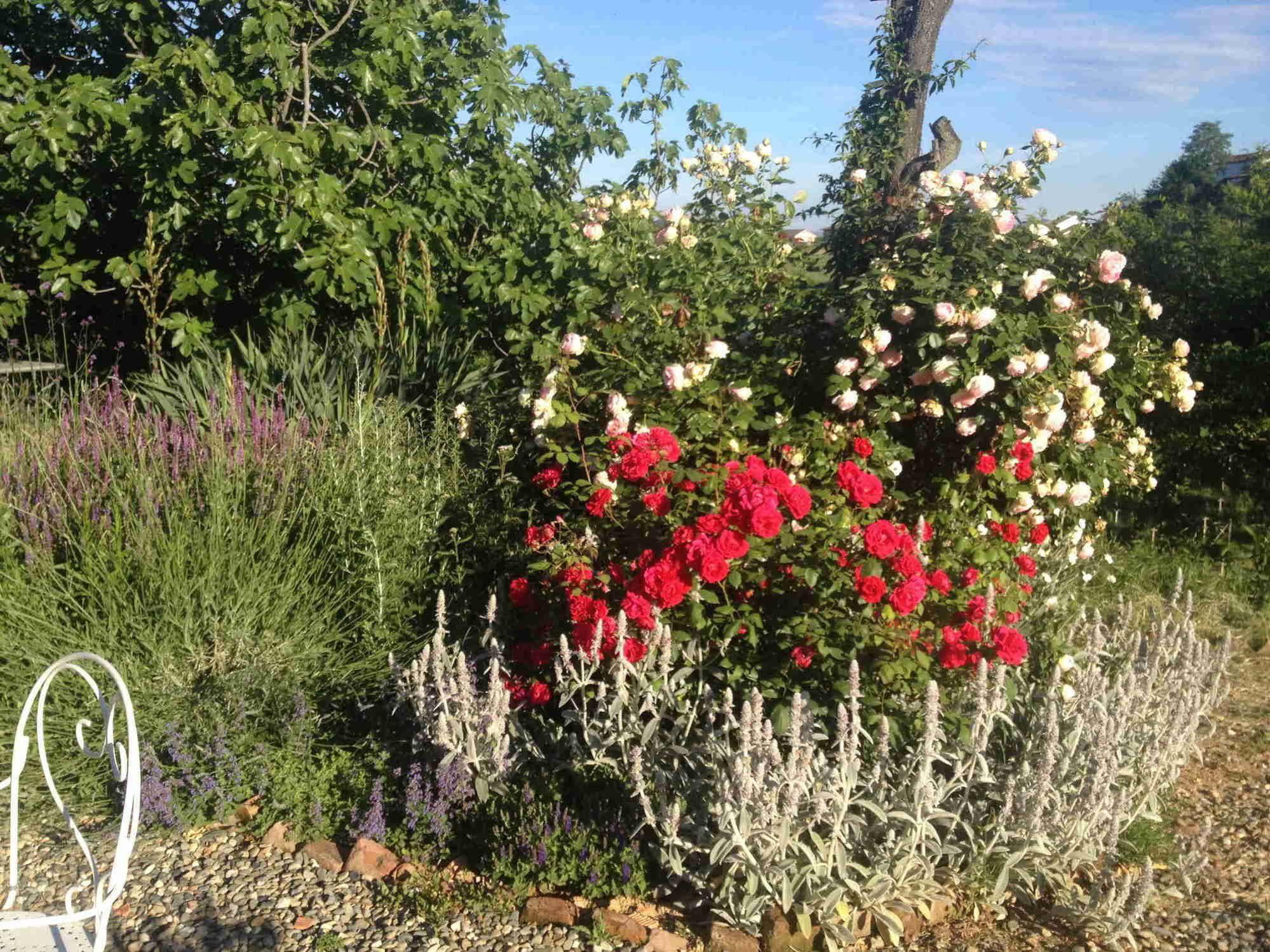 Casa Isabella Guest House Vaglio Serra ภายนอก รูปภาพ